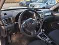 Subaru Forester 2.0D XS Trend Weiß - thumbnail 9