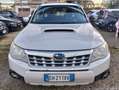 Subaru Forester 2.0D XS Trend Weiß - thumbnail 2