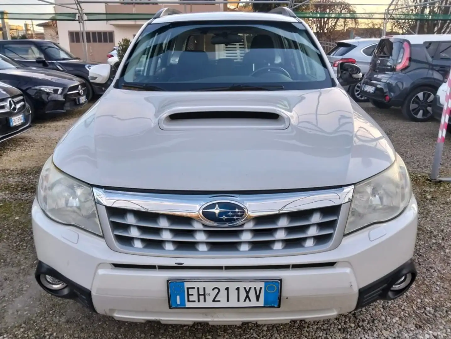 Subaru Forester 2.0D XS Trend Weiß - 2