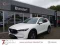 Mazda CX-5 Exclusive 165 Navigation|LED|Head-Up-Display Weiß - thumbnail 1