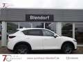 Mazda CX-5 Exclusive 165 Navigation|LED|Head-Up-Display Weiß - thumbnail 6