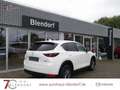 Mazda CX-5 Exclusive 165 Navigation|LED|Head-Up-Display Weiß - thumbnail 5