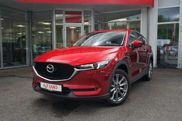 2.5 AWD LED Navi 360° Kamera Tempomat DAB