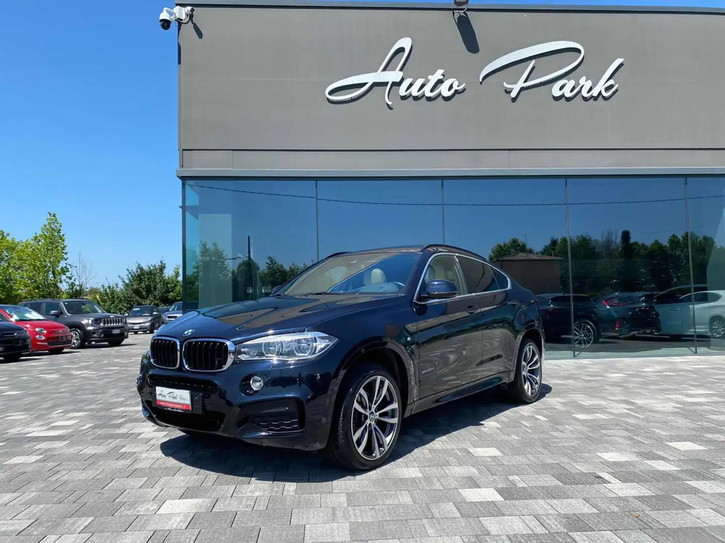 BMW X6 xDrive30d 258CV Msport Blu/Azzurro - 1