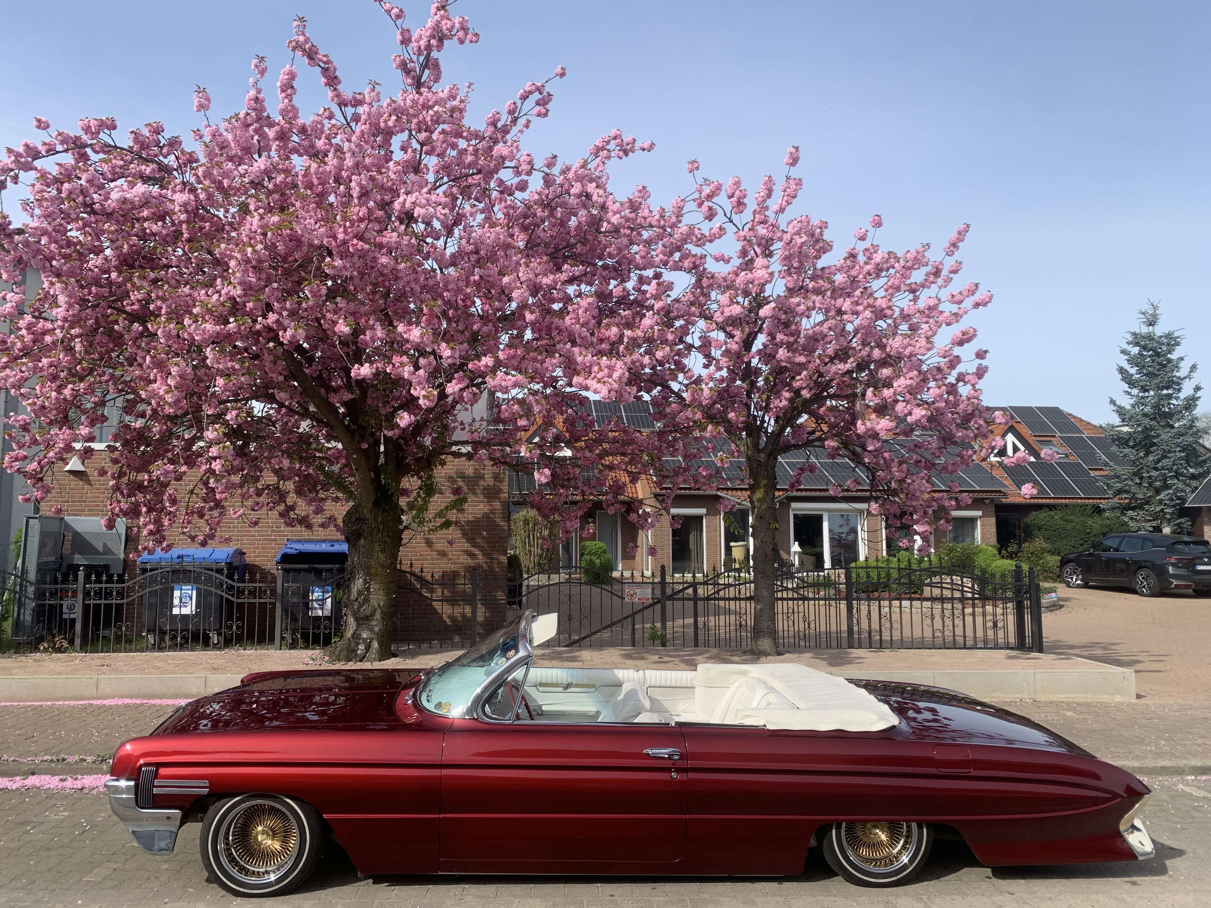 Brugt Oldsmobile 88 