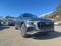 Audi Q8 50 TDI quattro Grau - thumbnail 10