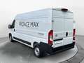 Toyota Proace Max Proace Max 33 2.2 BlueHDi 120CV L2H2 Furgone Bianco - thumbnail 5