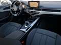 Audi A4 A4 Avant 35 TDI S-Tronic S-Line, ACC, Lane Assist! Weiß - thumbnail 21