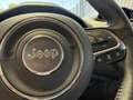 Jeep Renegade Renegade 2019 1.6 mjt Limited AUTOMATICA Blauw - thumbnail 18