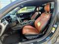Ford Mustang Mustang 5.0 Ti-VCT V8 GT (EU6.2) Gris - thumbnail 15