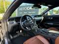 Ford Mustang Mustang 5.0 Ti-VCT V8 GT (EU6.2) Gris - thumbnail 11