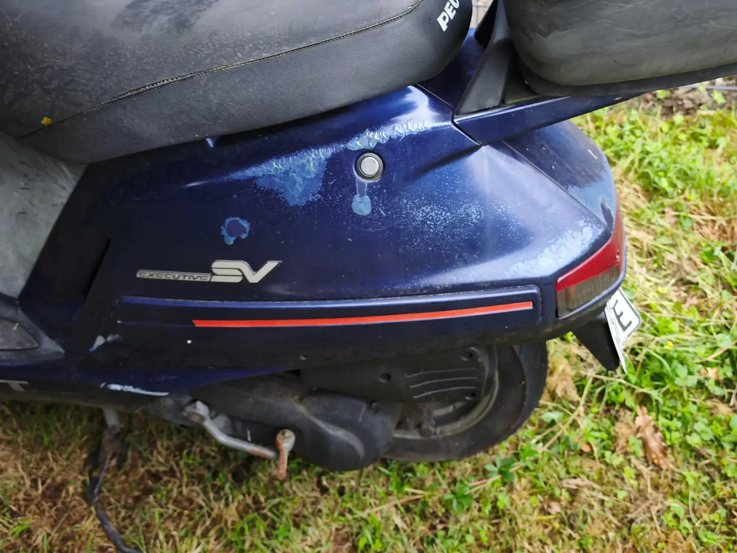 Peugeot SV 50 Roller SV 50 LM Blu/Azzurro - 1