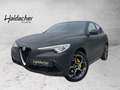 Alfa Romeo Stelvio Super 2.0 ATX AWD SHD FAP Xenon RKam Černá - thumbnail 1