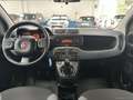 Fiat Panda 1.2 Easy NEOPATENTATI Blanc - thumbnail 13