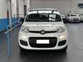 Fiat Panda 1.2 Easy NEOPATENTATI Blanc - thumbnail 7