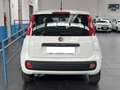 Fiat Panda 1.2 Easy NEOPATENTATI Blanc - thumbnail 8