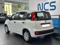 Fiat Panda 1.2 Easy NEOPATENTATI Blanc - thumbnail 2