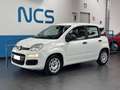Fiat Panda 1.2 Easy NEOPATENTATI Blanc - thumbnail 1