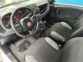 Fiat Panda 1.2 Easy NEOPATENTATI Blanc - thumbnail 10