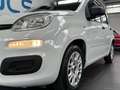 Fiat Panda 1.2 Easy NEOPATENTATI Blanc - thumbnail 5