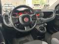 Fiat Panda 1.2 Easy NEOPATENTATI Blanc - thumbnail 11