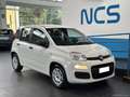 Fiat Panda 1.2 Easy NEOPATENTATI Blanc - thumbnail 3