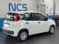 Fiat Panda 1.2 Easy NEOPATENTATI Blanc - thumbnail 4