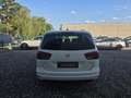 SEAT Alhambra FR 2,0 TDI CR DSG Weiß - thumbnail 3