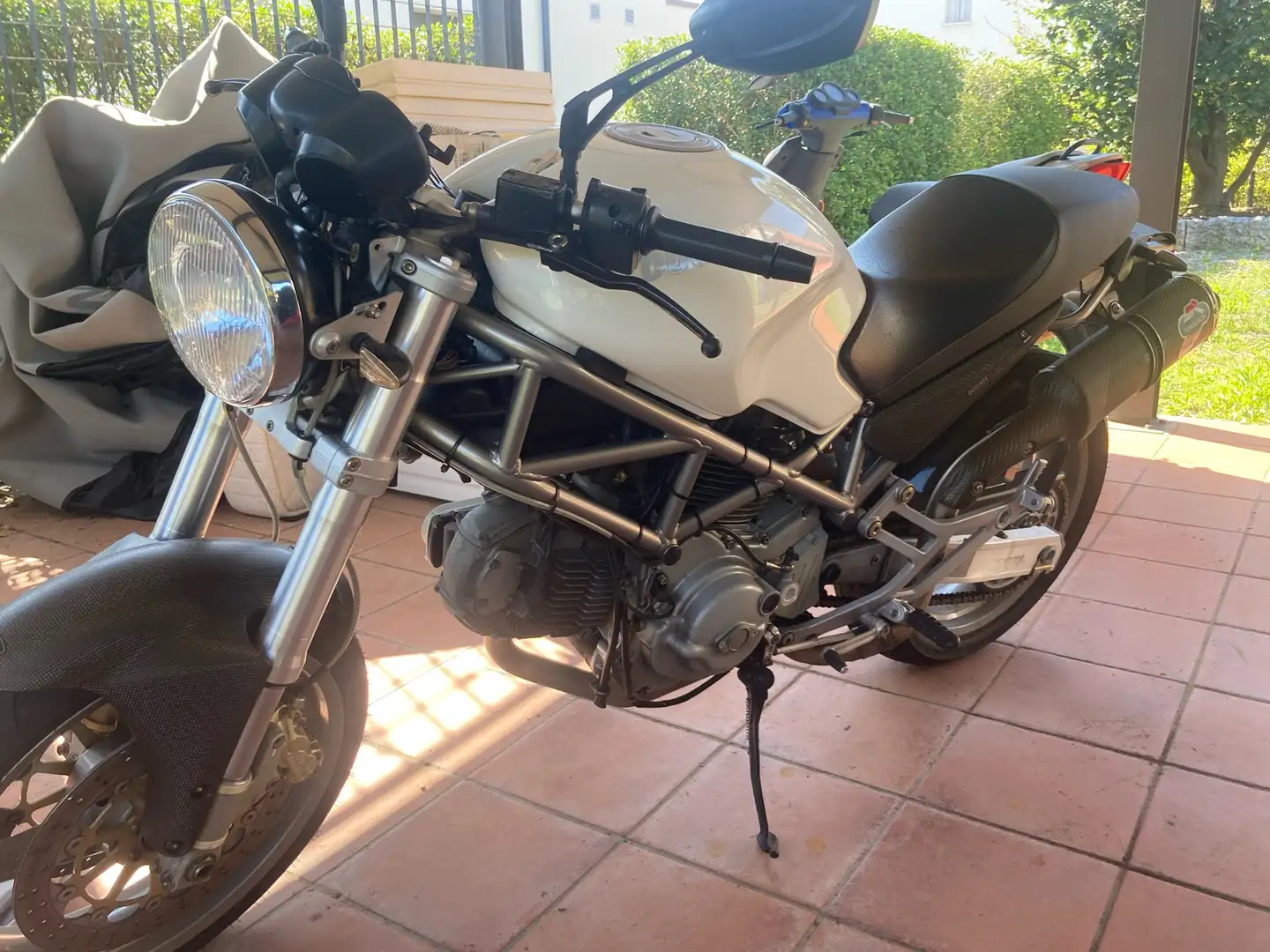 Ducati Monster 620 scarico Termignoni Bianco - 1