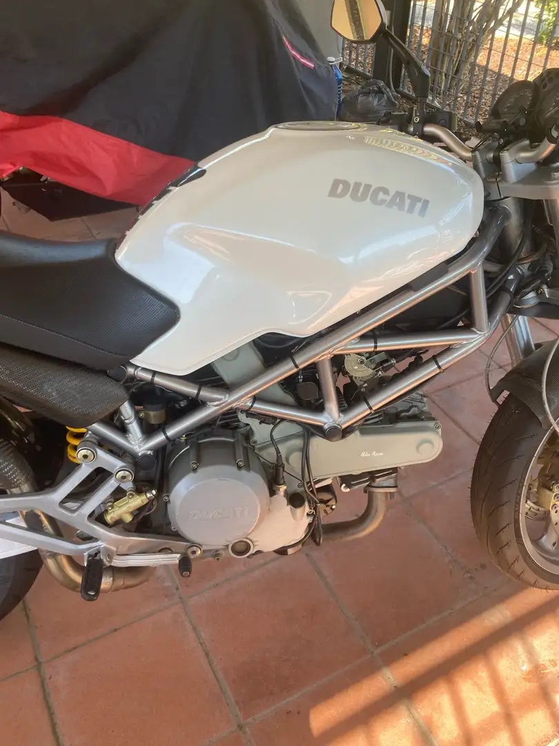 Ducati Monster 620 scarico Termignoni Bianco - 2