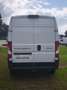 Peugeot Boxer L2H2 333 BlueHDi 140 Cargo,Visibility,RFK,7",AHK Weiß - thumbnail 7