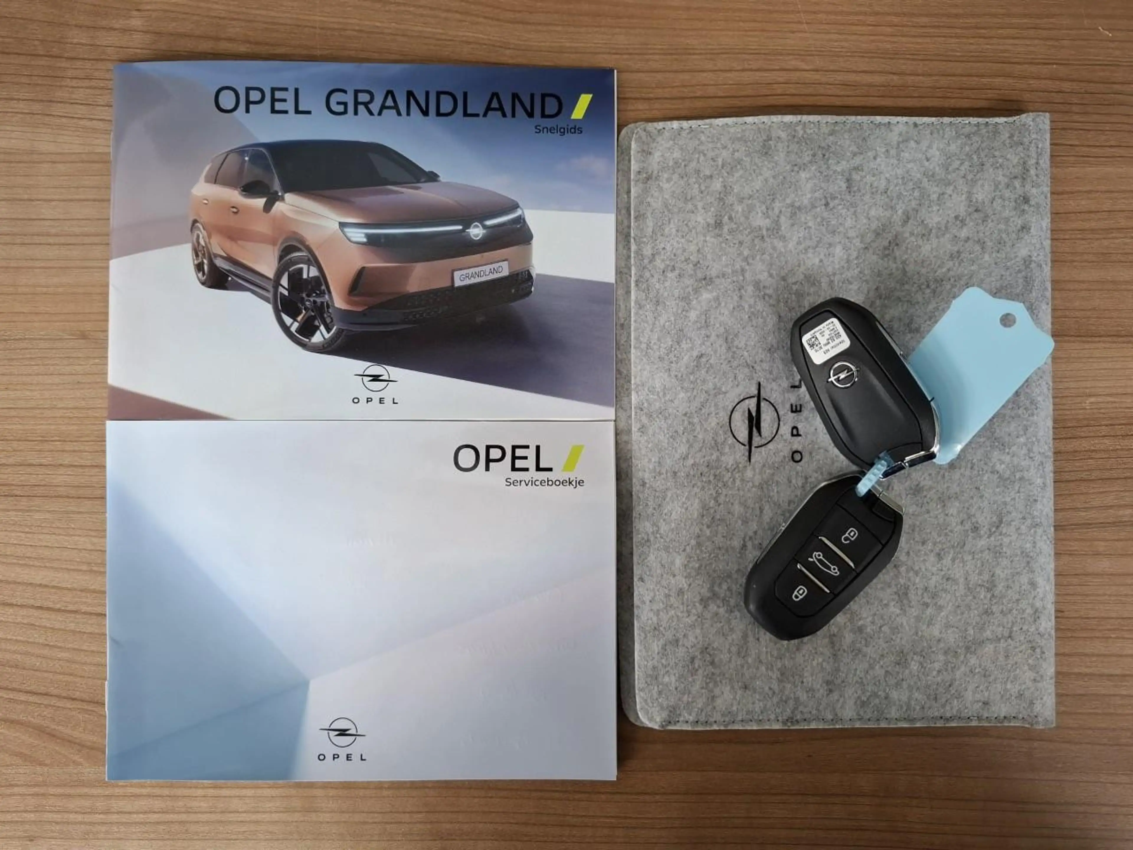 Opel Grandland Electric Business Edition 97 kWh — photo 8