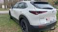 Mazda CX-30 CX-30 D116 Comfort + Weiß - thumbnail 6