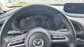 Mazda CX-30 CX-30 D116 Comfort + Weiß - thumbnail 11