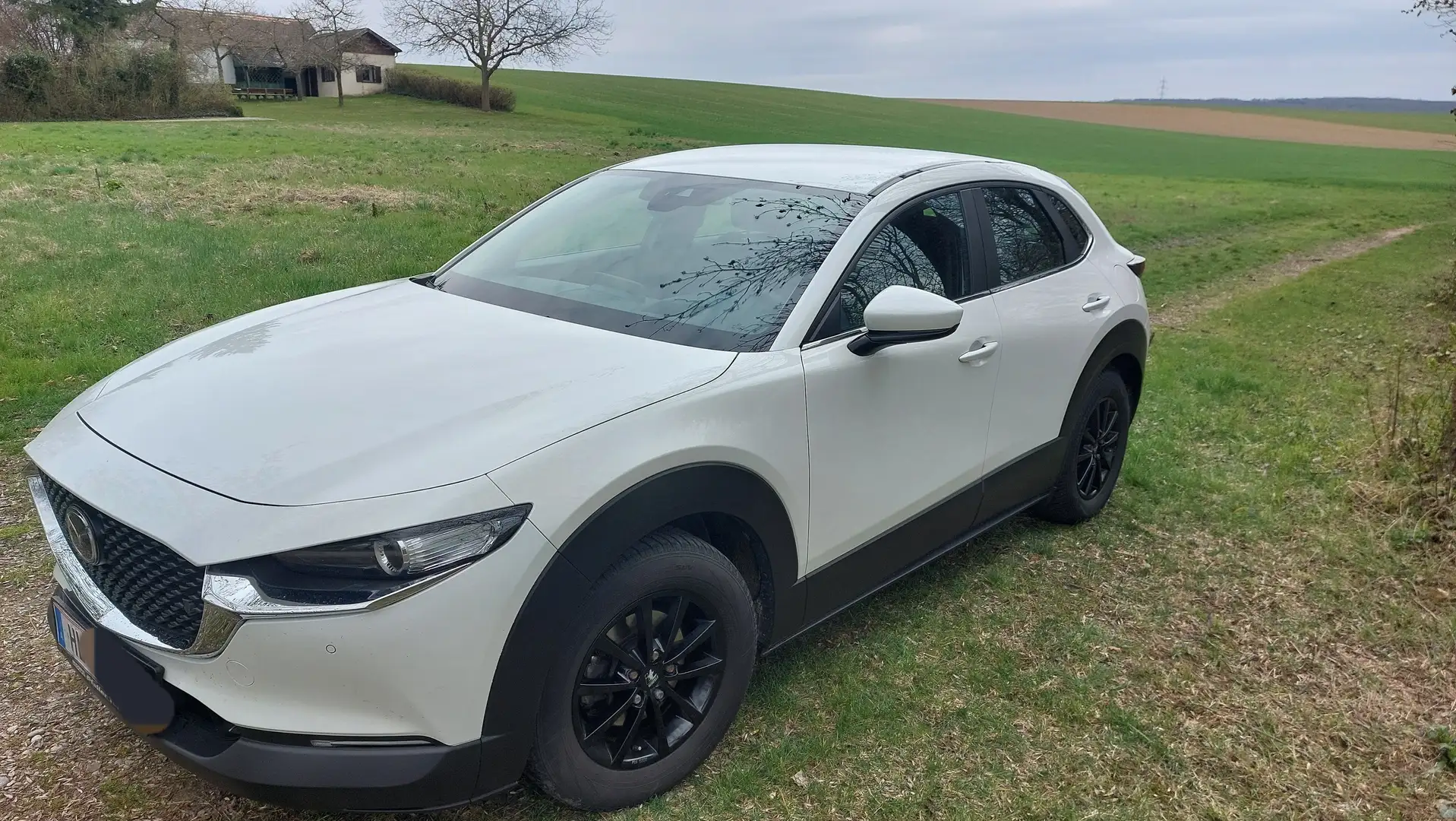 Mazda CX-30 CX-30 D116 Comfort + Weiß - 1