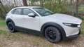Mazda CX-30 CX-30 D116 Comfort + Weiß - thumbnail 3