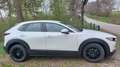 Mazda CX-30 CX-30 D116 Comfort + Weiß - thumbnail 4
