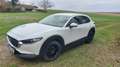 Mazda CX-30 CX-30 D116 Comfort + Weiß - thumbnail 7