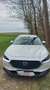 Mazda CX-30 CX-30 D116 Comfort + Weiß - thumbnail 2