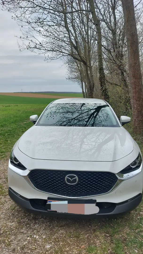 Mazda CX-30 CX-30 D116 Comfort + Weiß - 2