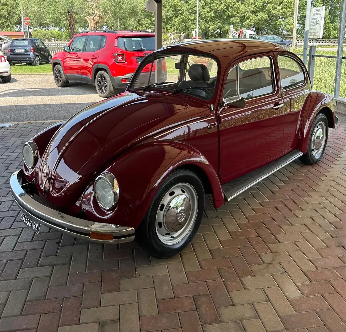 Volkswagen Maggiolino Vetro piatto Rosso - 2