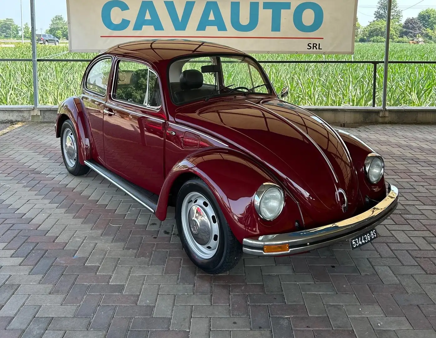 Volkswagen Maggiolino Vetro piatto Rosso - 1