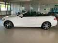 Mercedes-Benz C 220 C Cabrio 220 d Sport auto Weiß - thumbnail 12