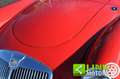 MG MGA 1500 Roadster Mk1 Cabriolet TARGA ORO ASI Rosso - thumbnail 15