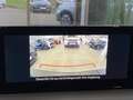 Mazda MX-30 EV Advantage NAVI KAM MATRIX 3-Phasig laden Schwarz - thumbnail 12