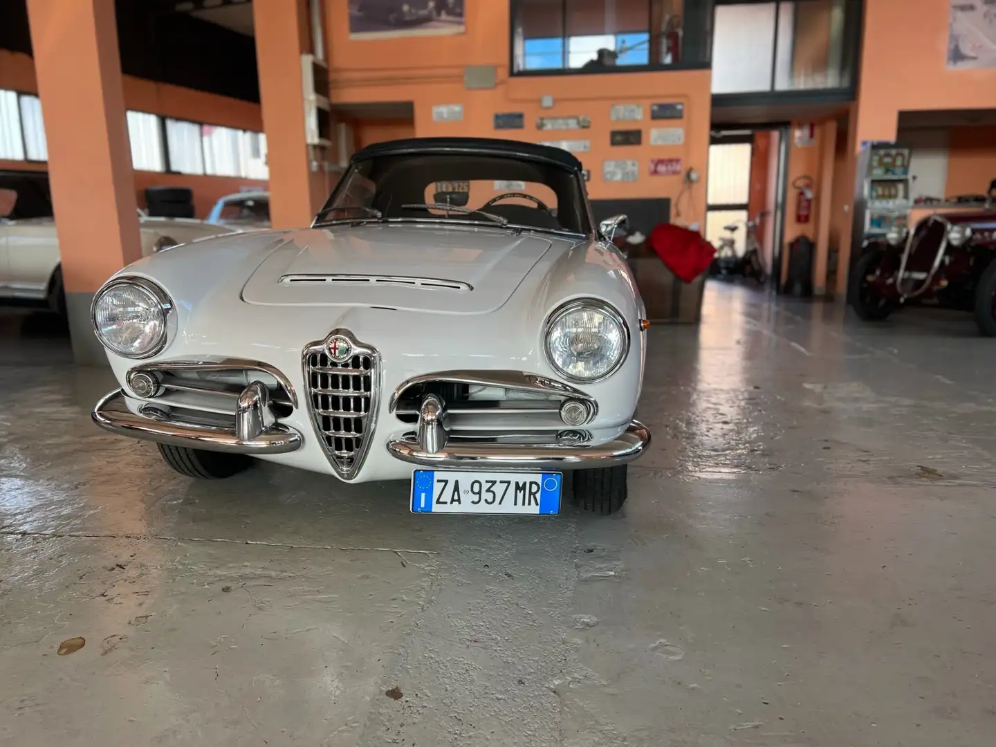 Alfa Romeo Spider Bianco - 2
