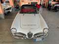 Alfa Romeo Spider Bianco - thumbnail 9