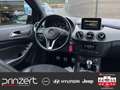 Mercedes-Benz B 180 1.6 Sitzheizung*Sitz-Komfort*Licht&Sicht*LM17" Nero - thumbnail 12