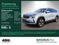 Skoda Kodiaq Selection 2.0 TDI 4x4 DSG 360° Stdhzg AHK Silber - thumbnail 1