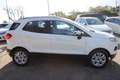 Ford EcoSport EcoSport  1.5 tdci Titanium S 95cv Weiß - thumbnail 12